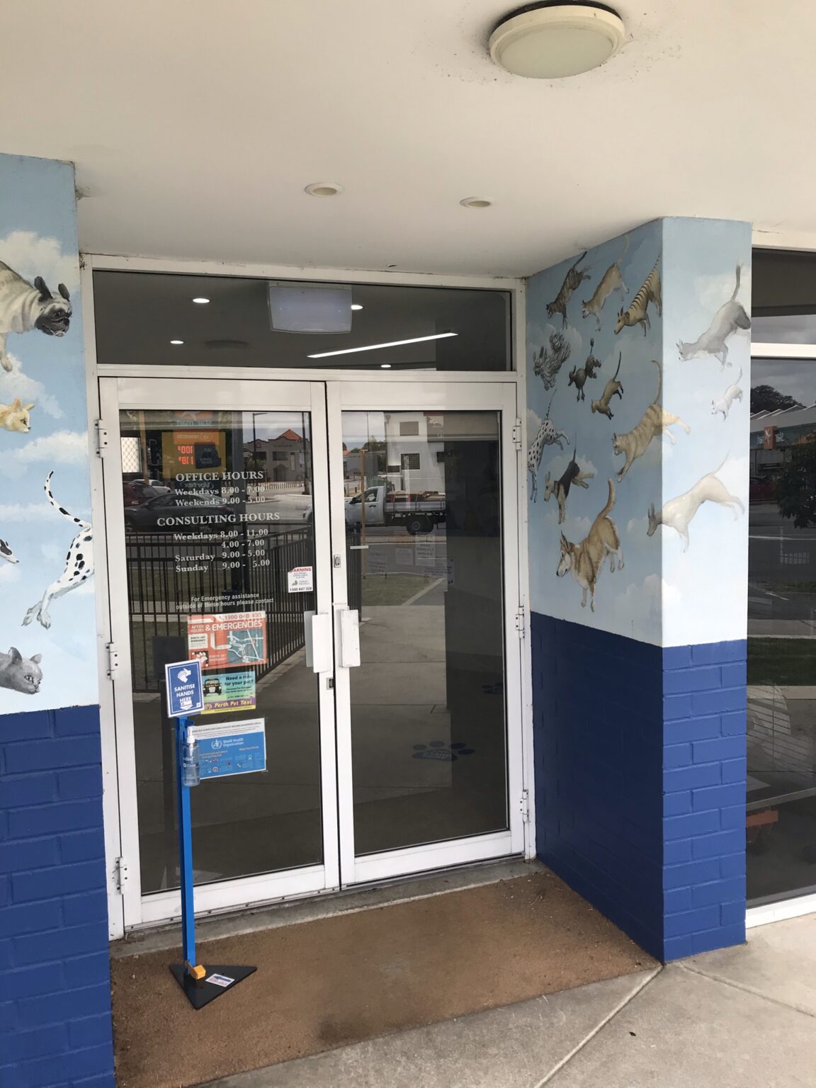 Perth Veterinary Specialists Passionate Vet Care Inglewood