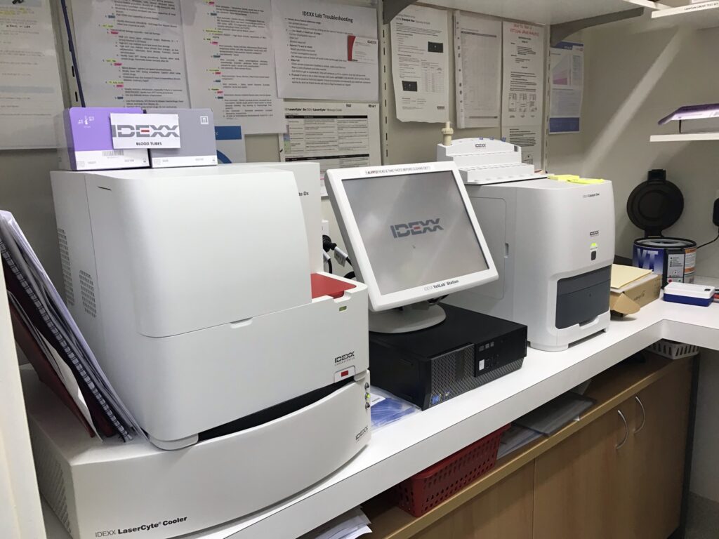 Vet Laboratory in Perth Your Pets Vet